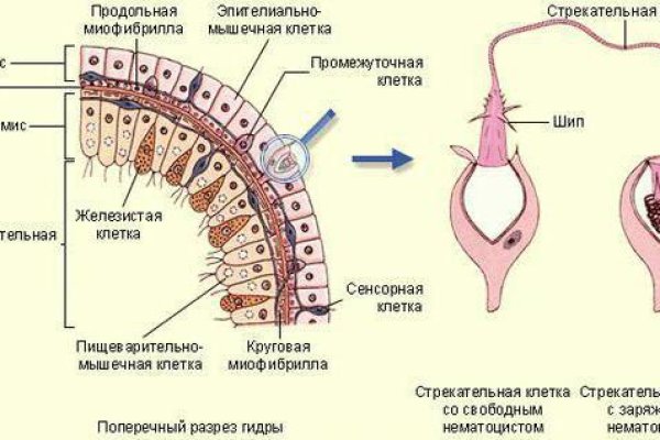 Кракен сайт 18